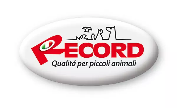 record.png